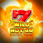 Wild Hot 40